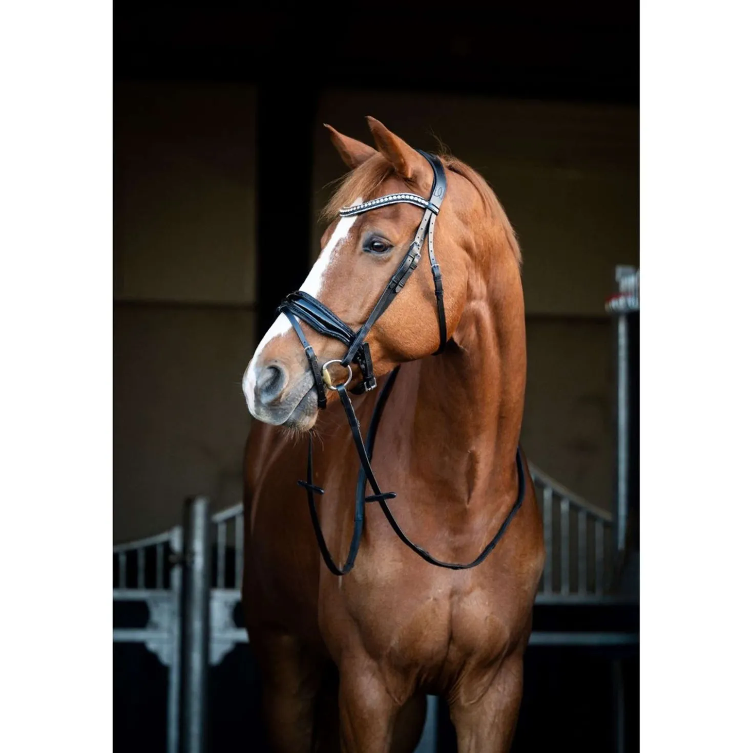 HB Showtime Hoofdstel Snowflake Zwart