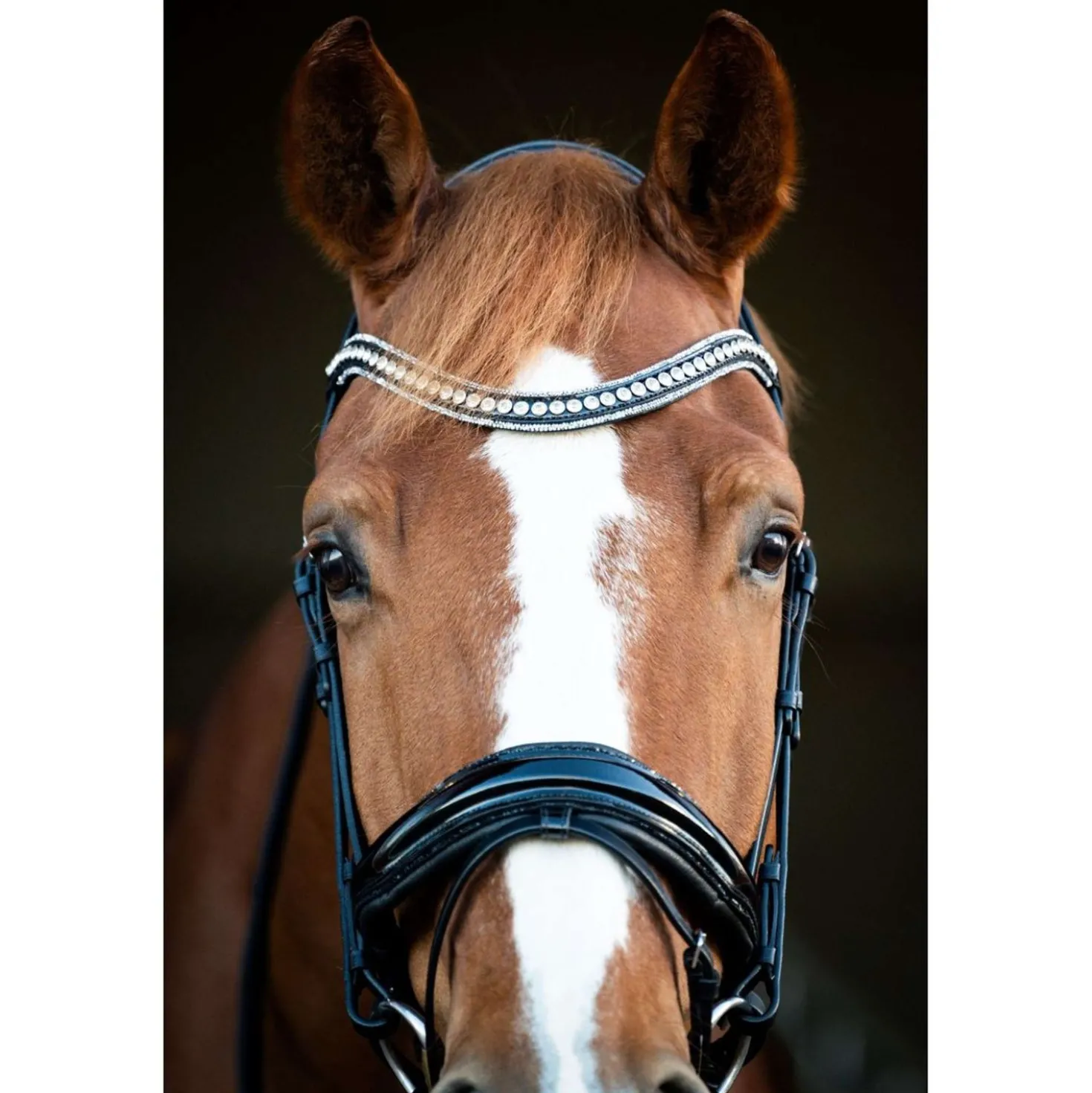 HB Showtime Hoofdstel Snowflake Zwart