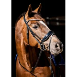 HB Showtime Hoofdstel Special Guy Zwart