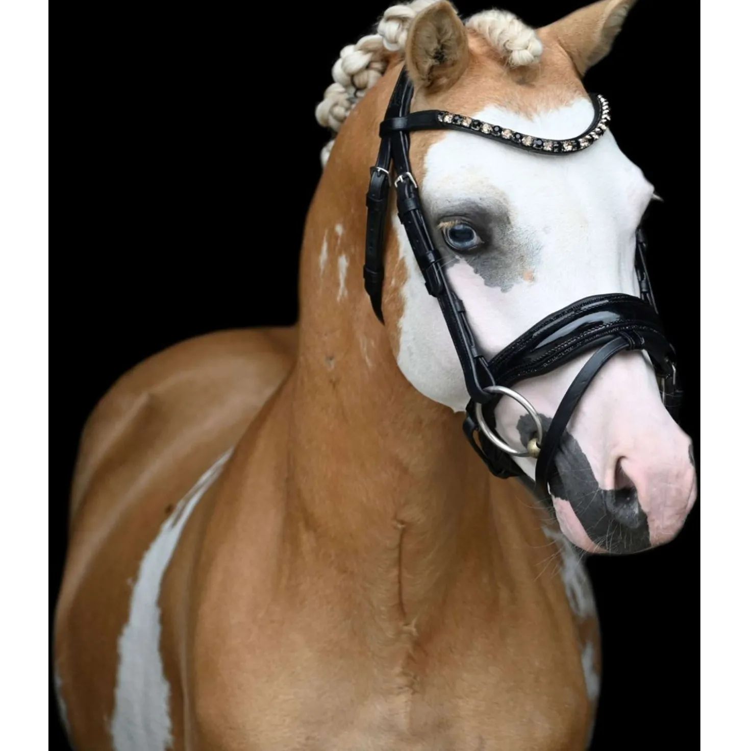 HB Showtime Hoofdstel Special Zwart/Goud