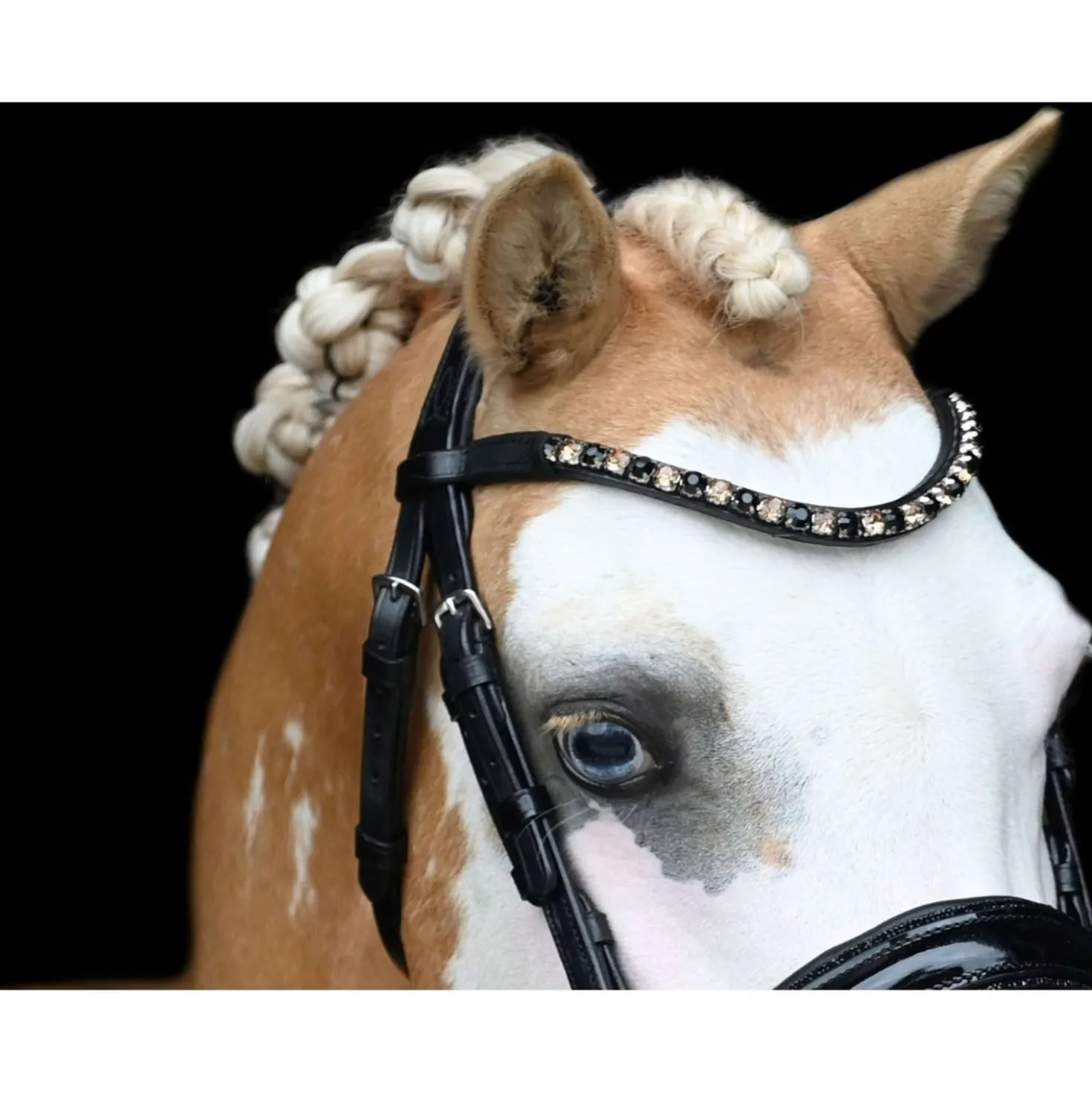 HB Showtime Hoofdstel Special Zwart/Goud
