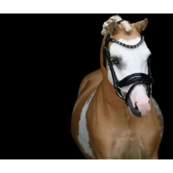 HB Showtime Hoofdstel Special Zwart/Goud