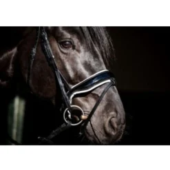 HB Showtime Hoofdstel Special Guy Zwart/Wit