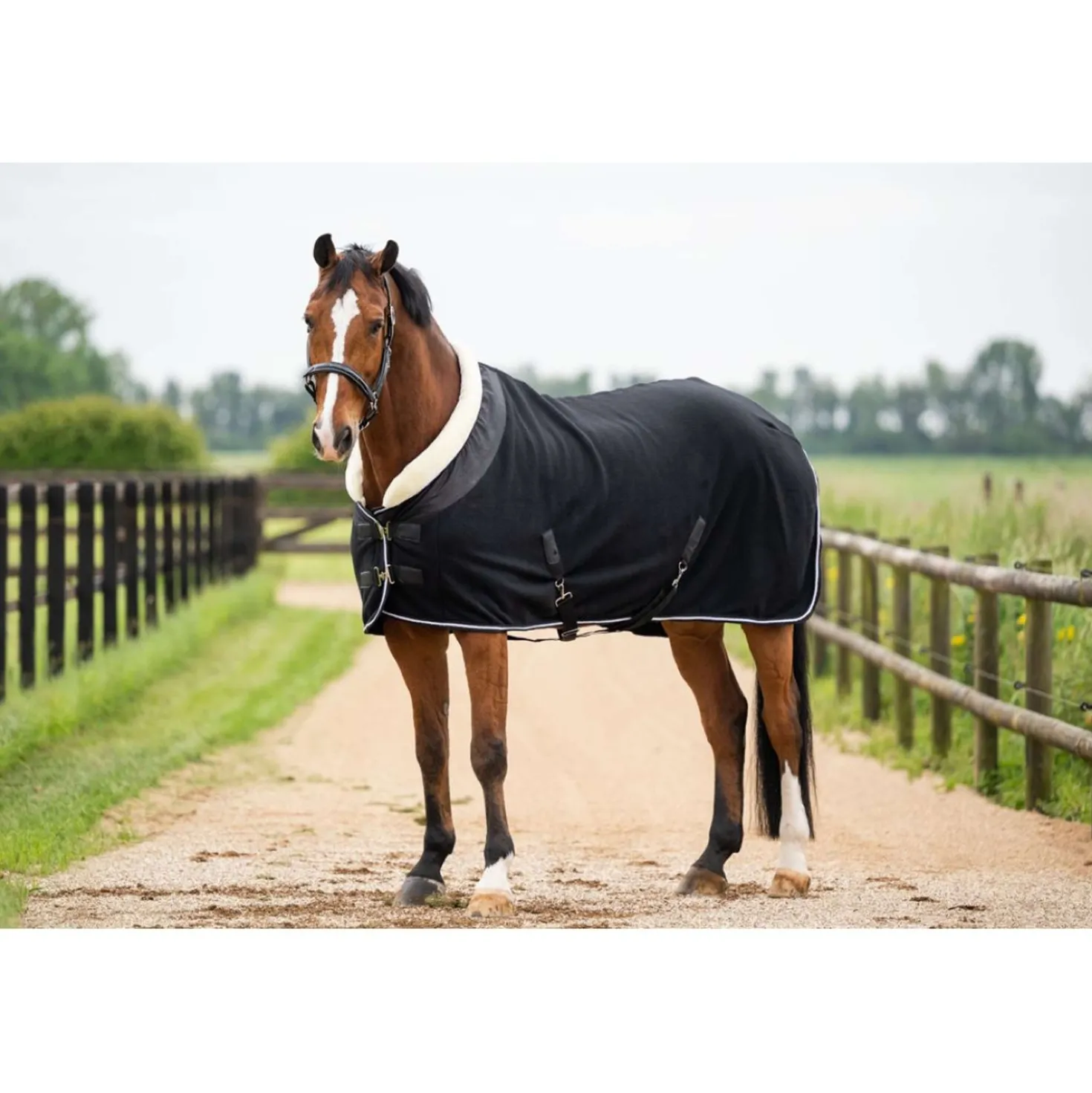 HB Showtime Showdeken Crown Zwart