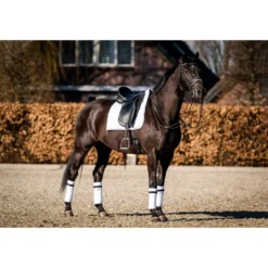 HB Showtime Zadeldekje Crown Dressuur Wit
