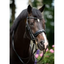 HB Stang en Trenshoofdstel Special for You Zwart/Navy