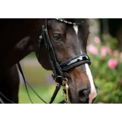 HB Stang en Trenshoofdstel Special for You Zwart/Navy