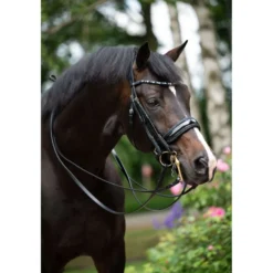 HB Stang en Trenshoofdstel Special for You Zwart/Navy