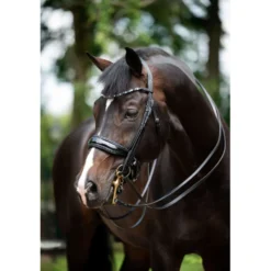 HB Stang en Trenshoofdstel Special for You Zwart/Navy