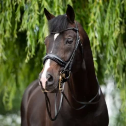 HB Stang en Trenshoofdstel Special for You Zwart