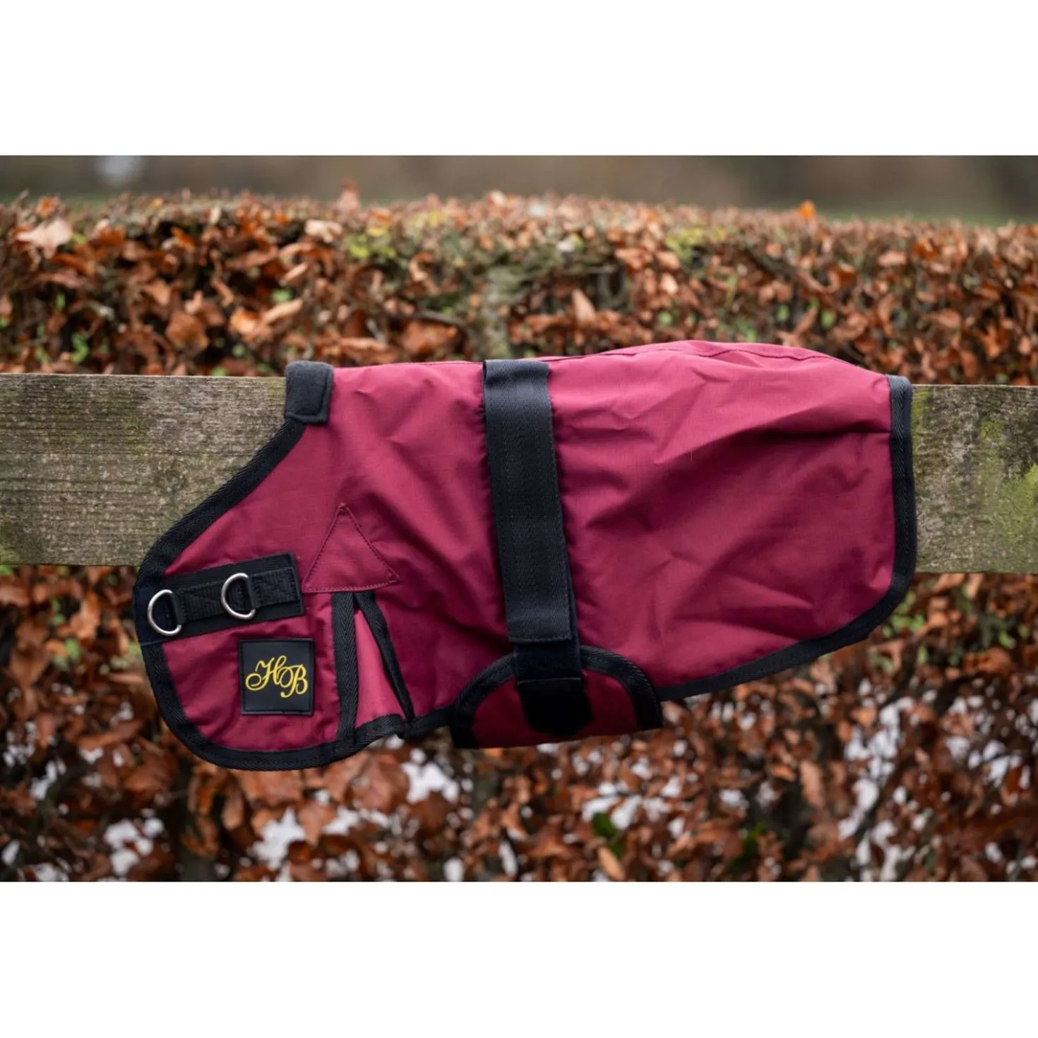 HB Veulendeken Ukki Bordeaux