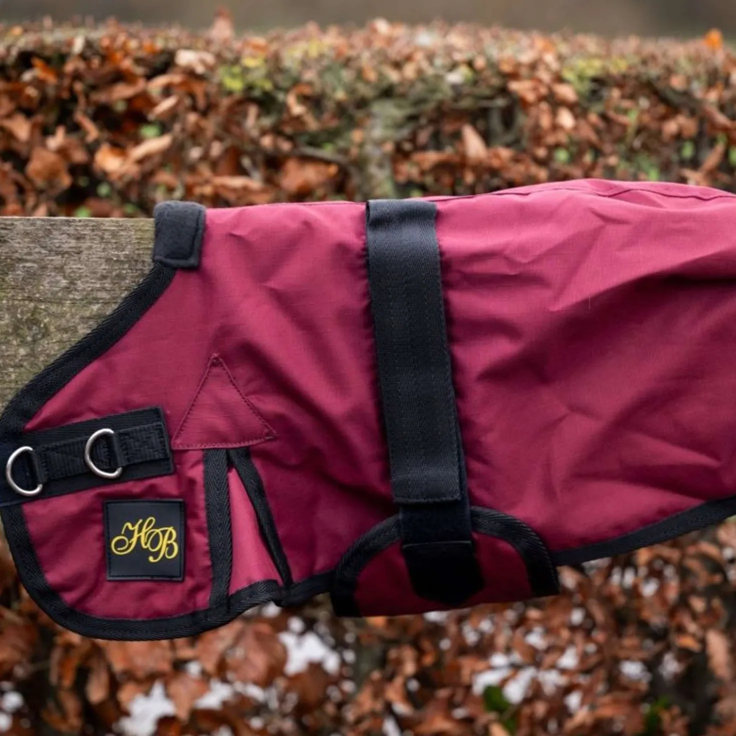 HB Veulendeken Ukki Bordeaux