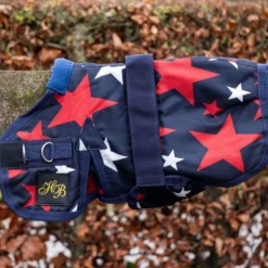 HB Veulendeken Ukki Navy/Stars