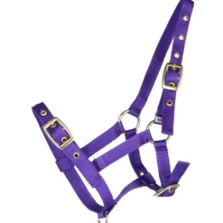 HB Veulenhalster Nylon Paars