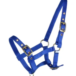 HB Veulenhalster Nylon Royal Blue