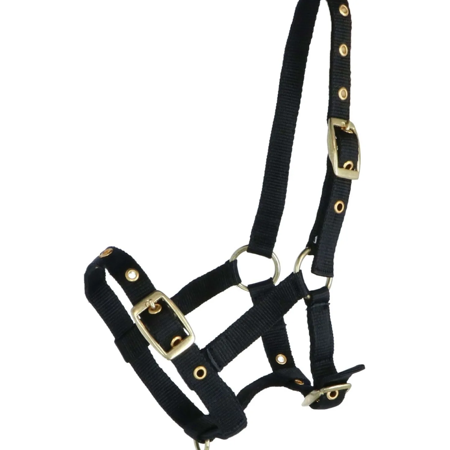 HB Veulenhalster Nylon Zwart