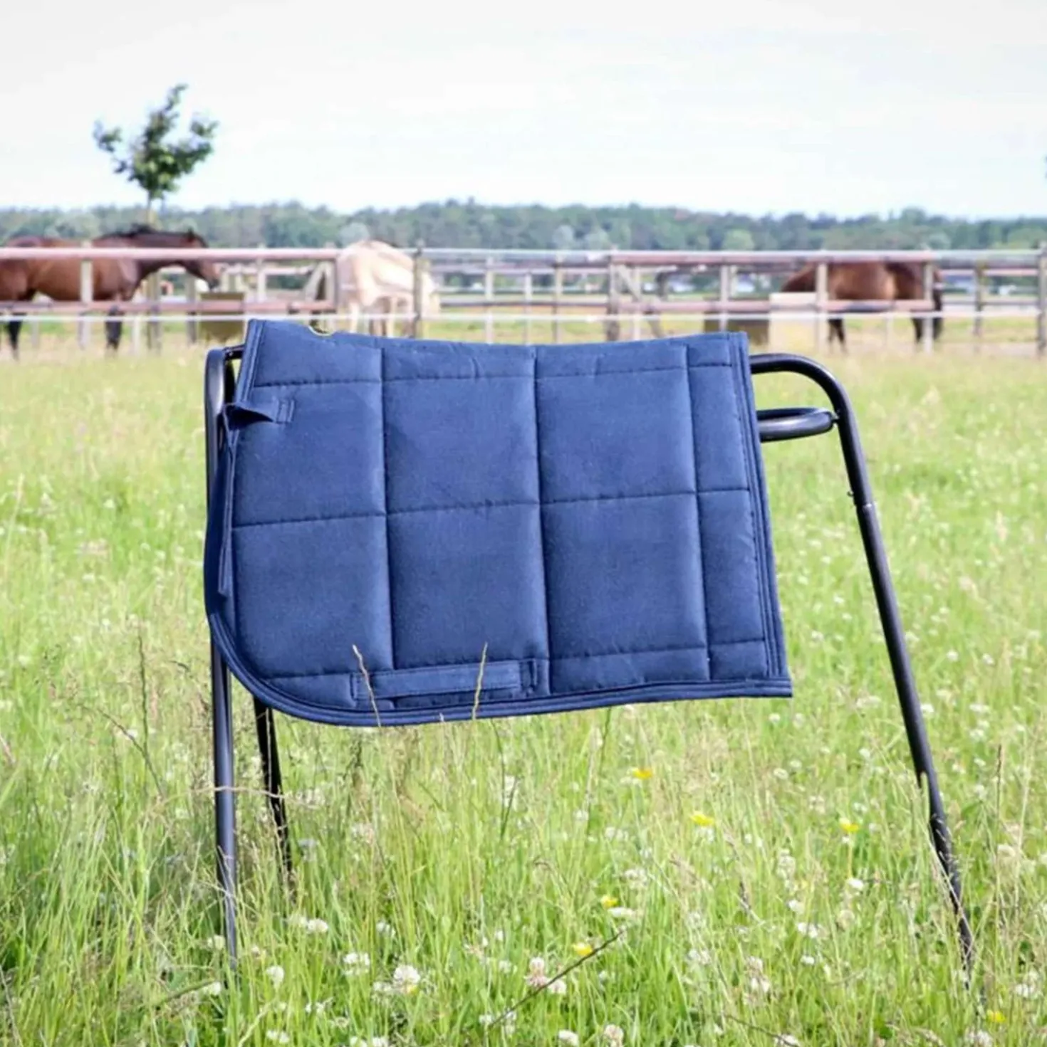 HB Zadeldekje Shetland Navy