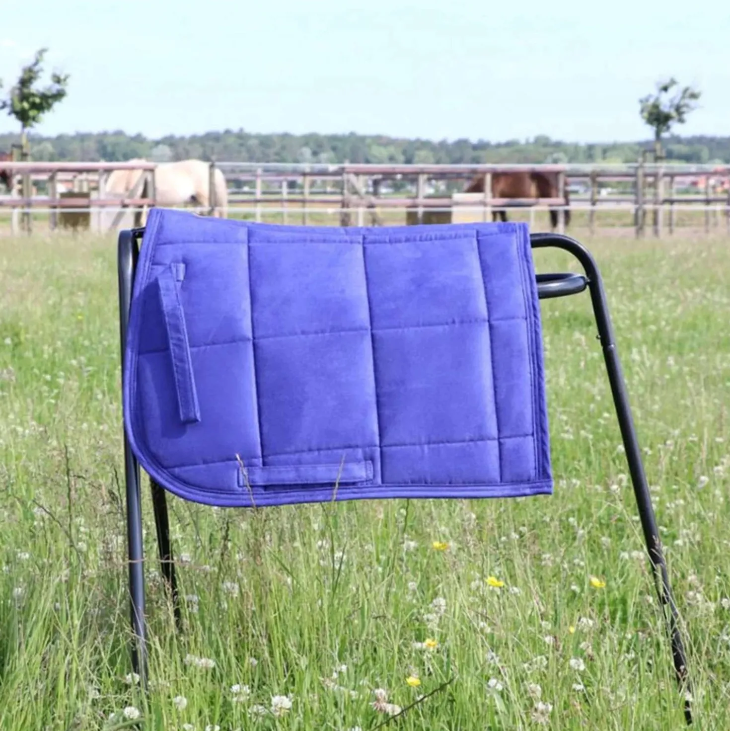 HB Zadeldekje Shetland Royal Blue