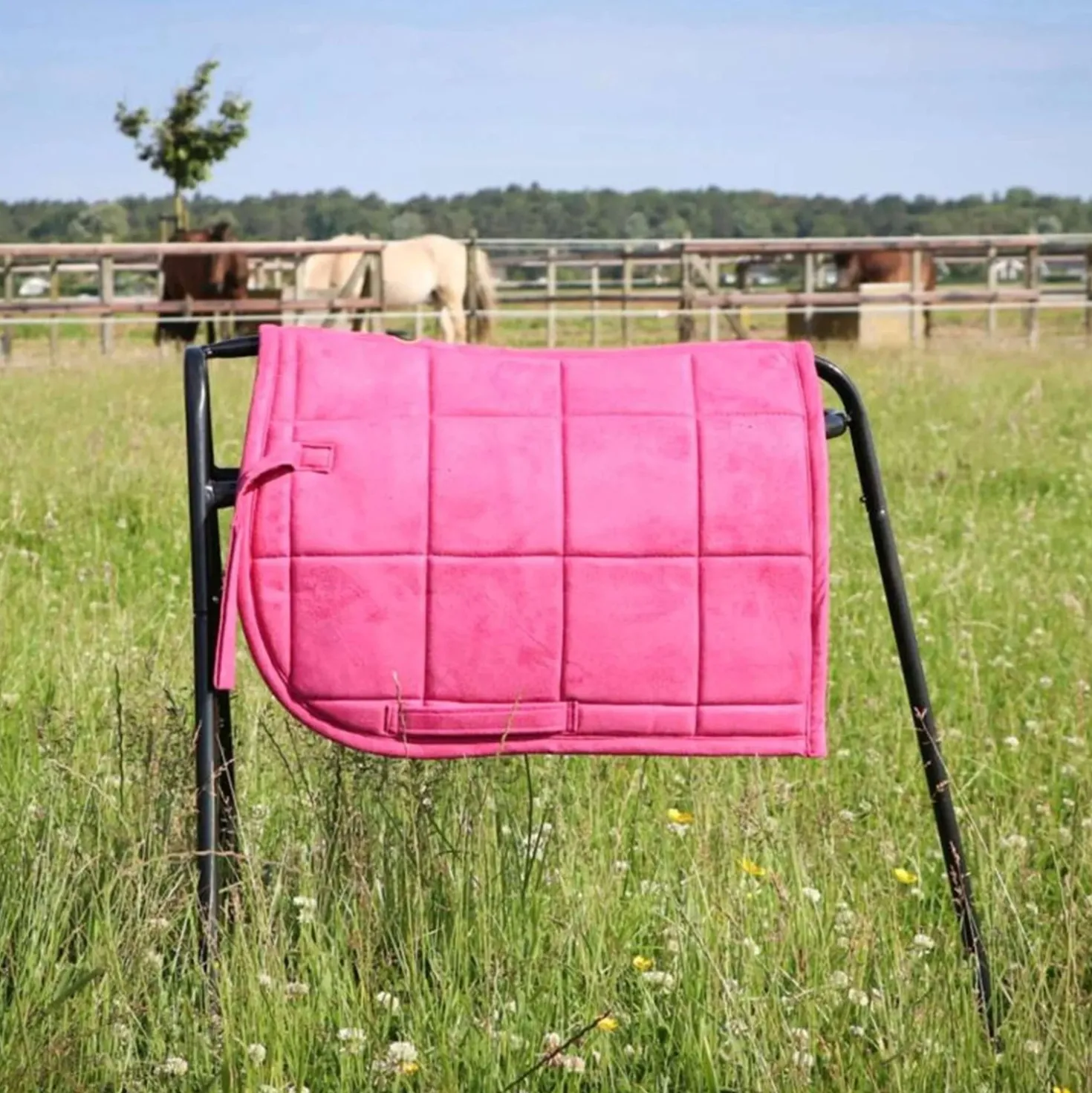 HB Zadeldekje Shetland Roze
