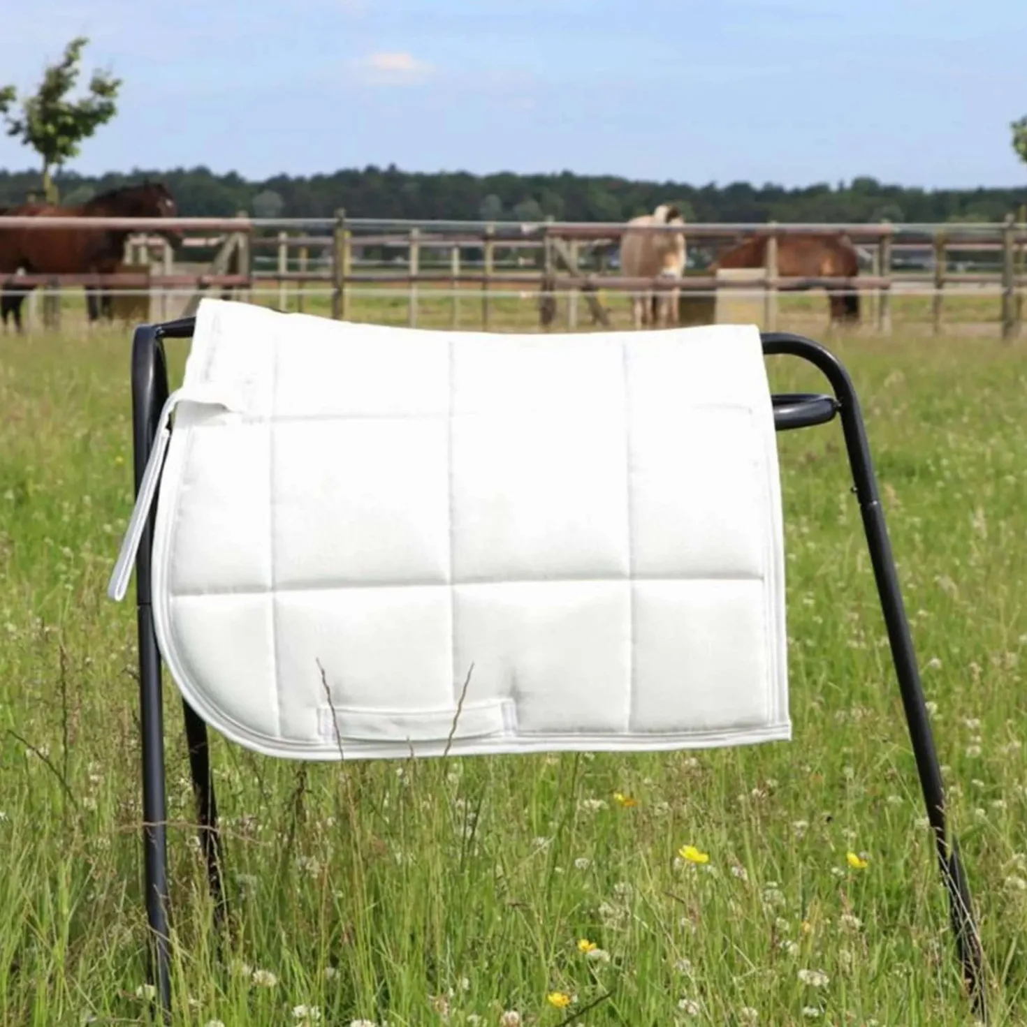 HB Zadeldekje Shetland Wit