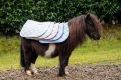 HB Zadeldekje Spring Veelzijdigheid Lichtpaars