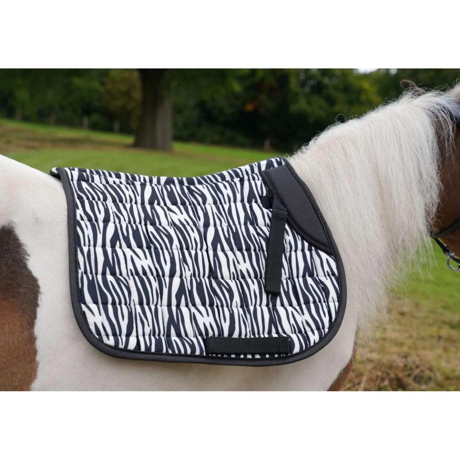 HB Zadeldekje Zebra Veelzijdigheid Zwart/Wit
