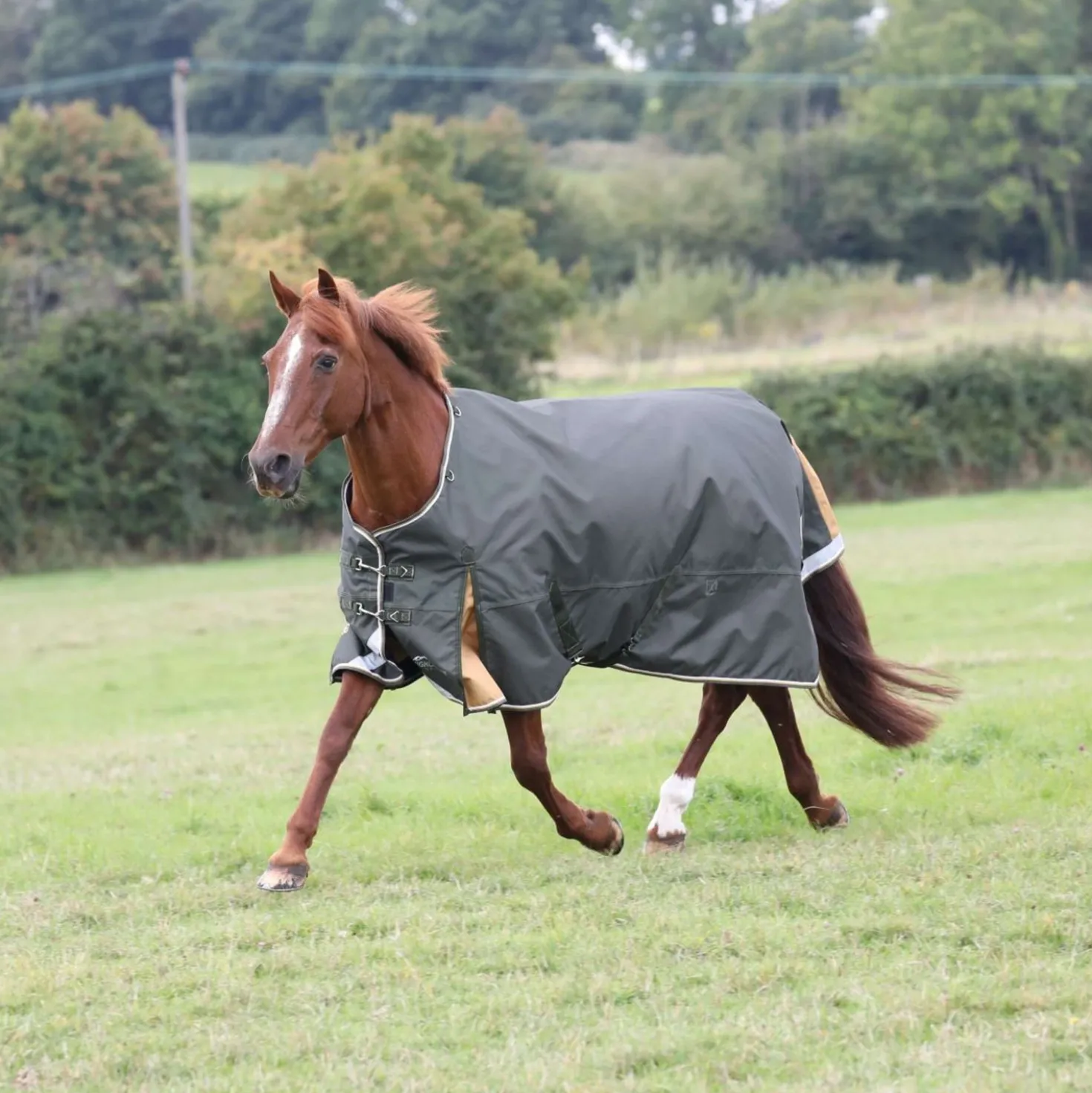 Highlander Plus by Shires Regendeken Turnout 50g Groen