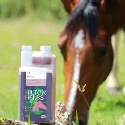 Hilton Herbs DeTox Gold