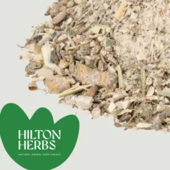 Hilton Herbs Digest Support