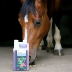 Hilton Herbs Freeway Liquid