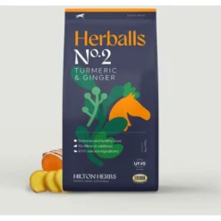 Hilton Herbs Herballs No2 Turmeric & Ginger