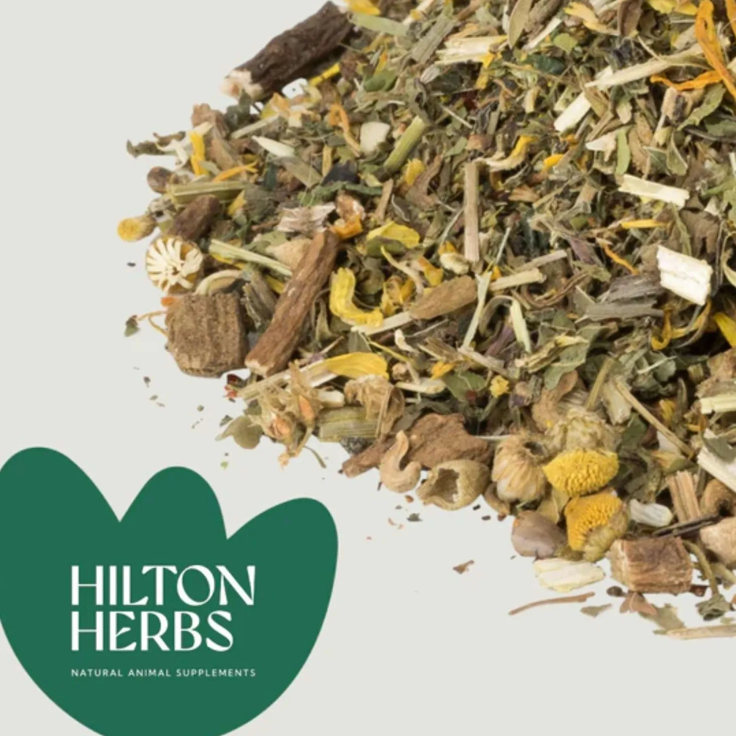 Hilton Herbs Herb Power