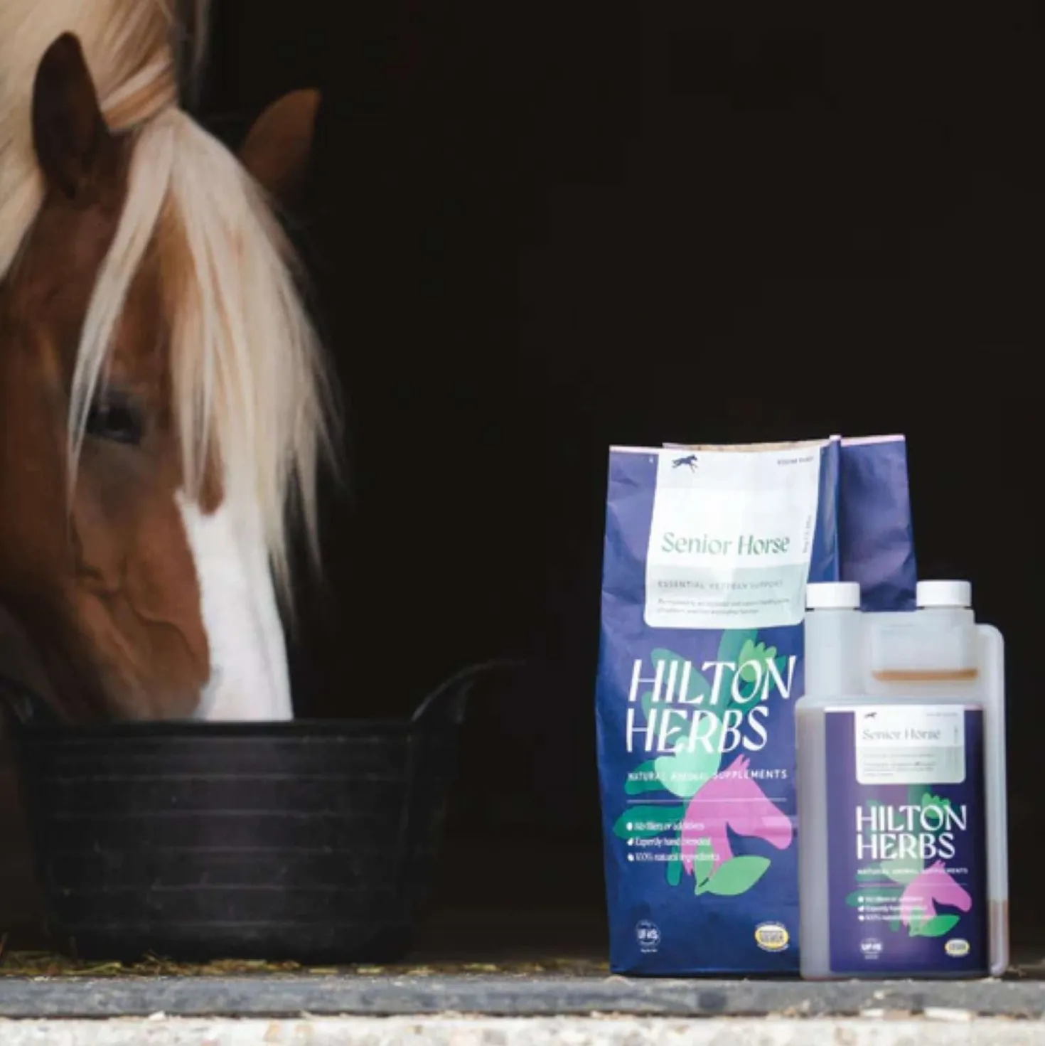 Hilton Herbs Senior Horse