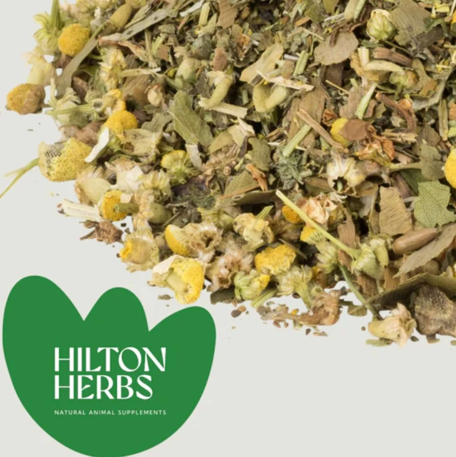 Hilton Herbs Senior Horse