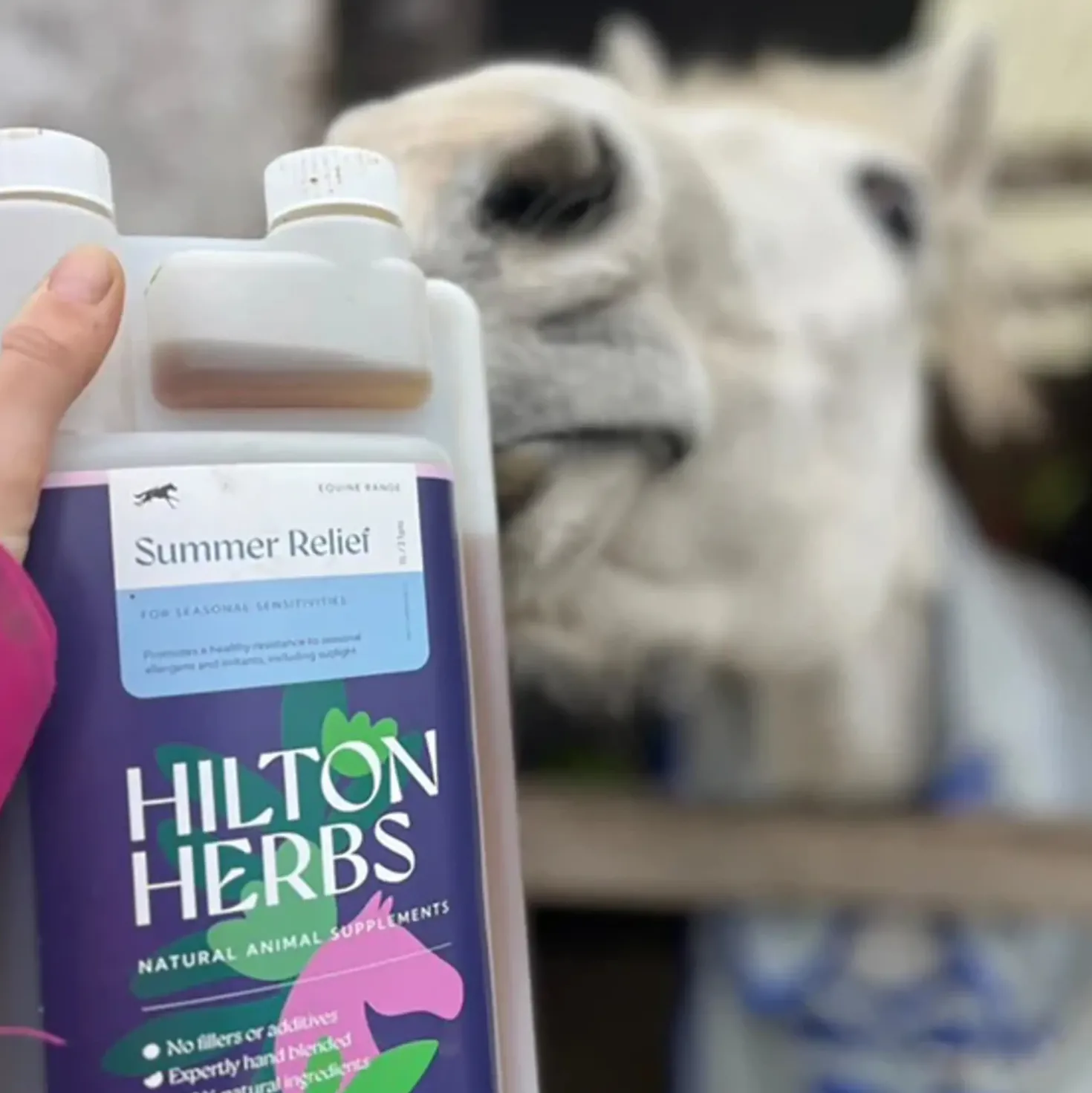 Hilton Herbs Summer Relief