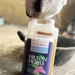 Hilton Herbs Summer Relief