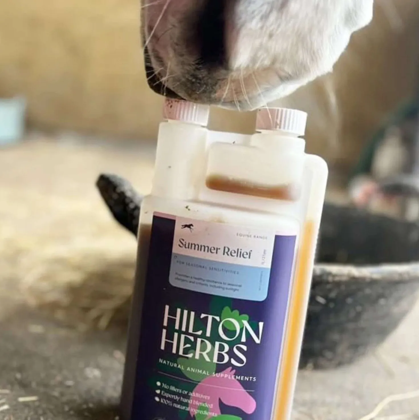 Hilton Herbs Summer Relief
