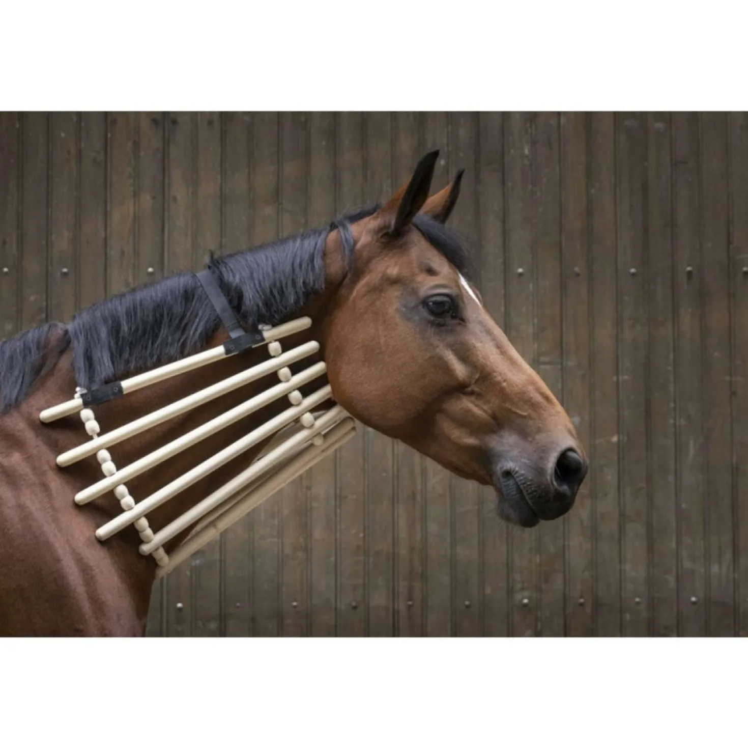 Hippotonic Halskraag