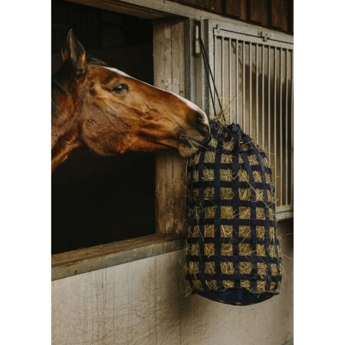Hippotonic Hooinet Webbing Navy