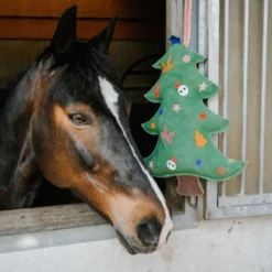 Hippotonic Speelgoed Kerstboom Groen