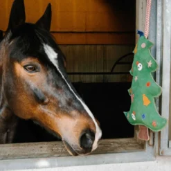 Hippotonic Speelgoed Kerstboom Groen