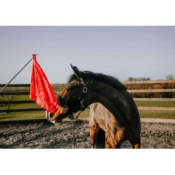 Hippotonic Trainingsstok Ethologisch met Vlag Rood