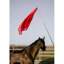 Hippotonic Trainingsstok Ethologisch met Vlag Rood