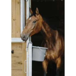 Hippotonic Voerbak met Hengsel Donkergrijs