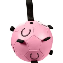 HKM Bal Fun Roze
