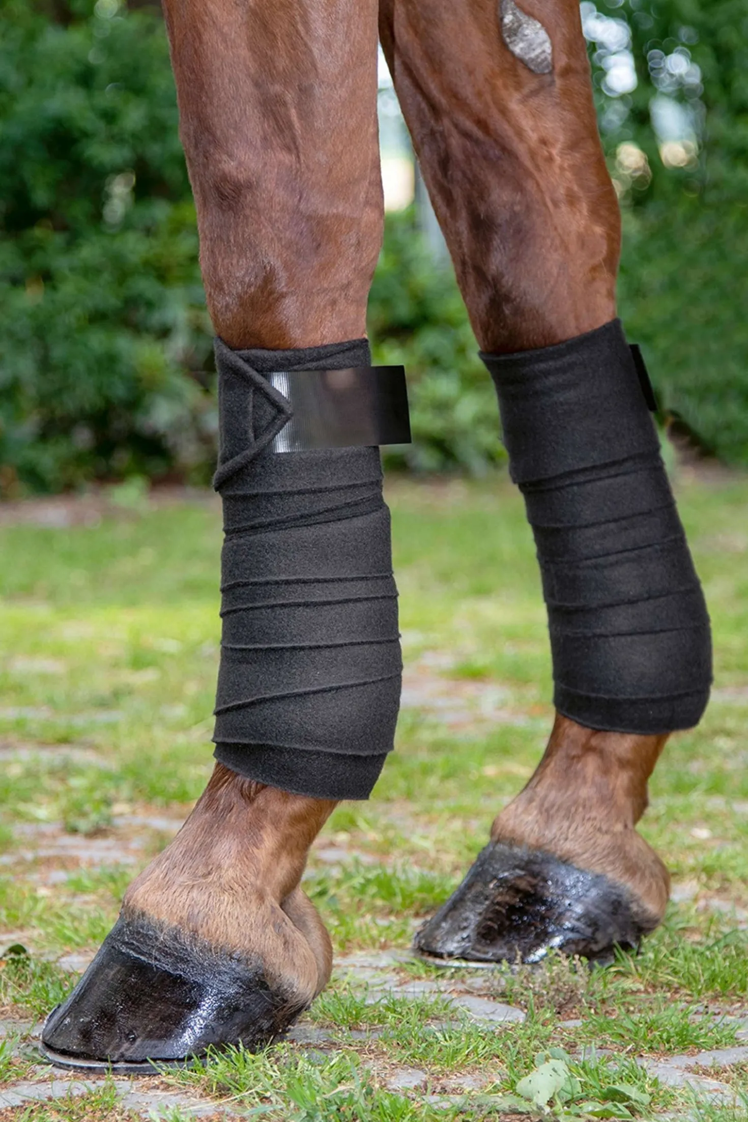 HKM Bandages Innovation Wit