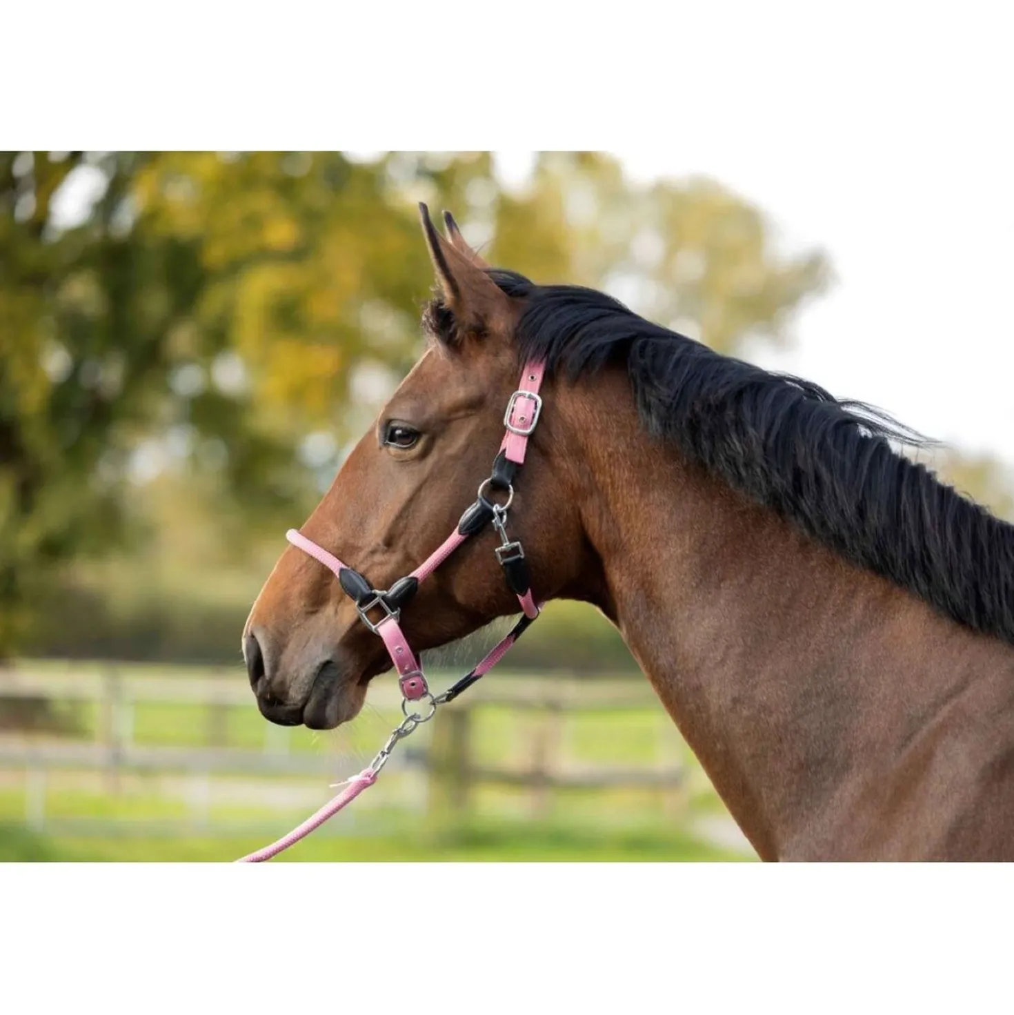 HKM Halster Carlotta Roze