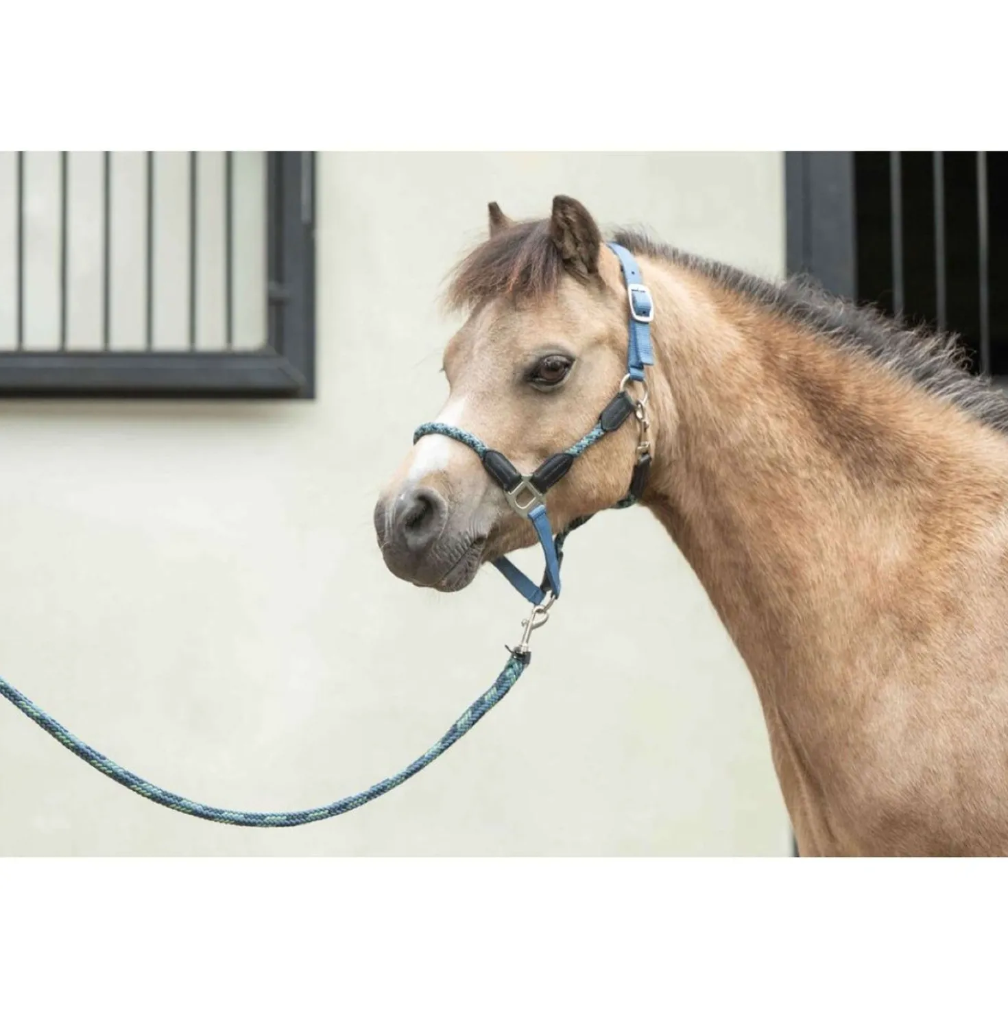 HKM Halster Nele Rook Blauw