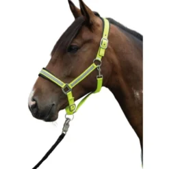 HKM Halster Reflective Neon Geel
