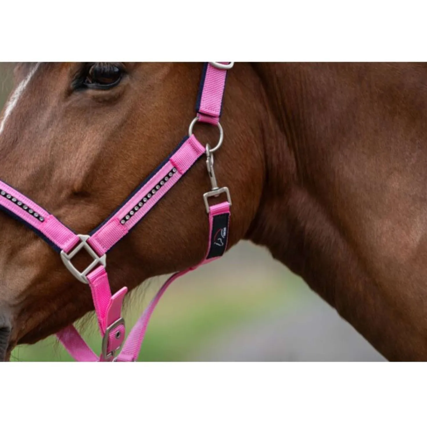 HKM Halsterset Crystal Zacht Onderlegd Roze/Donkerblauw